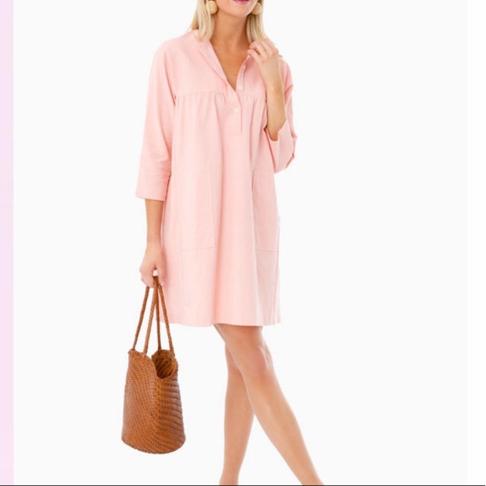 Tuckernuck button down shift dress